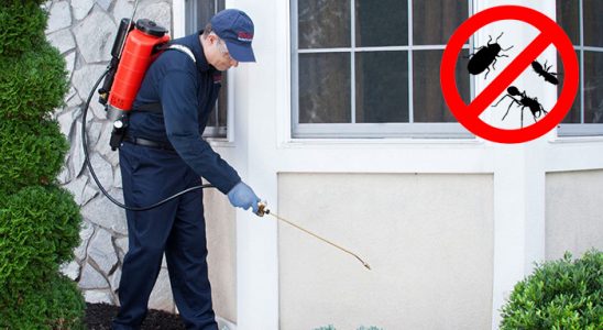 Senirkent Tahtakurusu İlaçlama böcek ilaçlama ve haşere kontrolü — ilaclama-tr.com